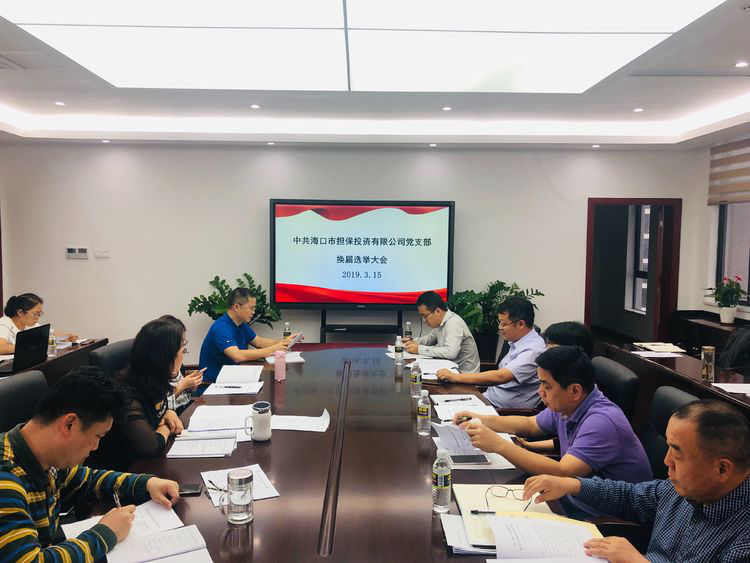 市金控公司召開2018年度黨支部書記述職評議大會(huì)暨黨支部換屆選舉黨員大會(huì)